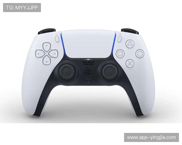 最全半岛体育登录入口用户体验分享，助你成为体育赛事达人