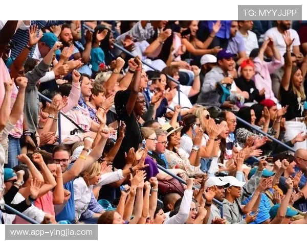 深入了解利来体育手机登录,开启你的体育娱乐新体验 深入了解利来体育手机登录,开启你的体育娱乐新体验